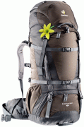 Deuter Quantum 55+10 SL coffee-black