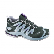 Salomon XA Pro 3D Ultra 2 Lady