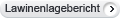 bt_lawinenlagebericht